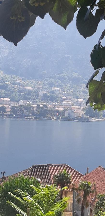 My Roots Apartment Kotor Exterior photo