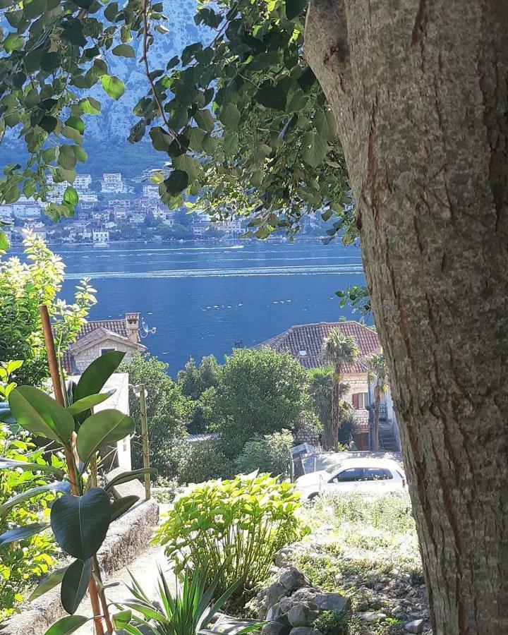 My Roots Apartment Kotor Exterior photo